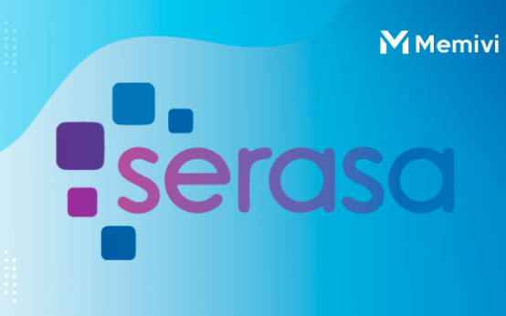 Serasa score 2.0