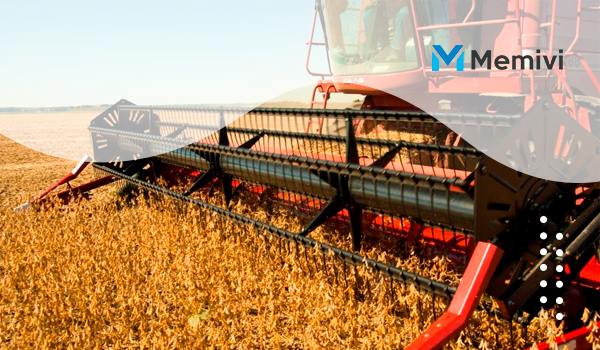 retracao-na-producao-brasileira-de-soja-deixa-investidores-da-commodities-preocupados