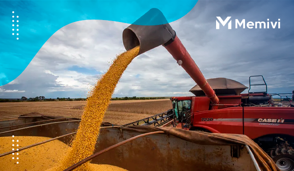 retracao-na-producao-brasileira-de-soja-deixa-investidores-da-commodities-preocupados